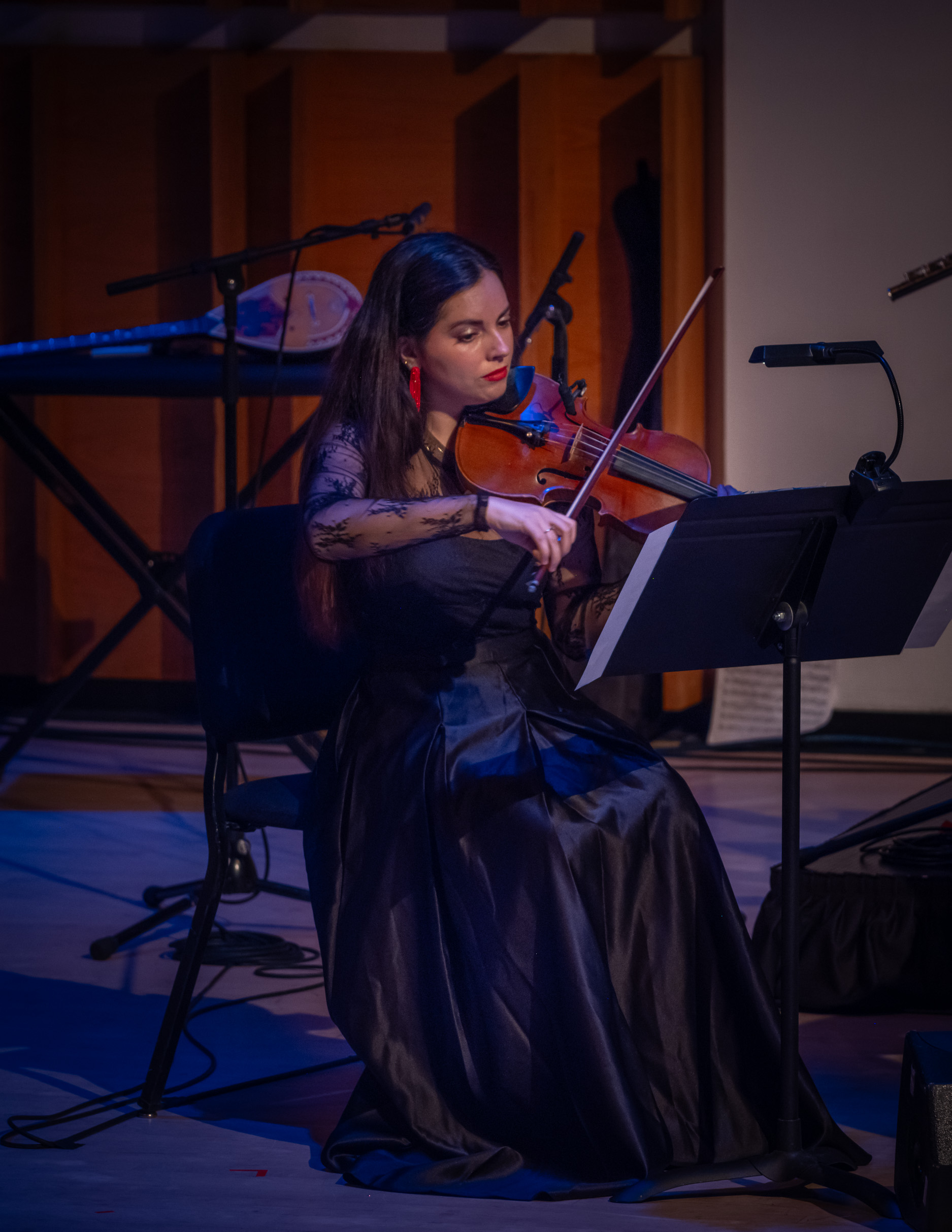 Concert photo 7